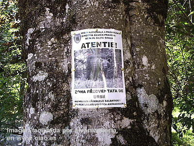 Cartel alertando sobre la presencia de osos